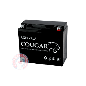 Аккумулятор Cougar 7 (YTX7A-BS)