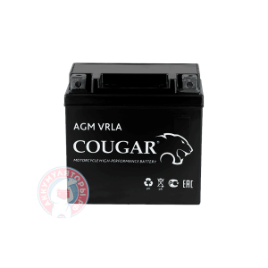 Аккумулятор Cougar 14 (YTX14-BS)
