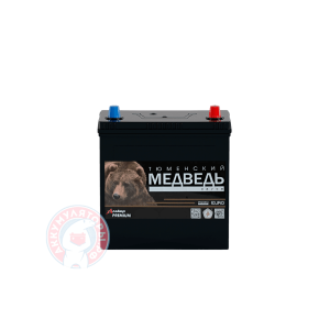 Аккумулятор Тюменский Медведь Са/Са 6 СТ 55Ач B24