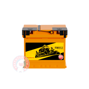 Аккумулятор Ginnes 6 CT 60Ач